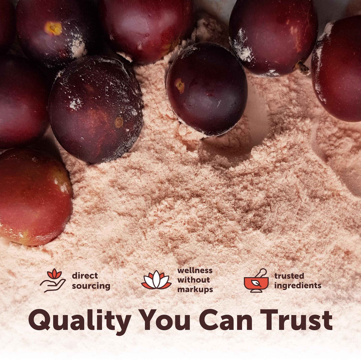 Micro Ingredients Organic Camu Camu Powder, 12 oz - Freshly Harvested Berry - Source of Naturally Occurring Vitamin C - Non-GMO, Vegan Friendly
