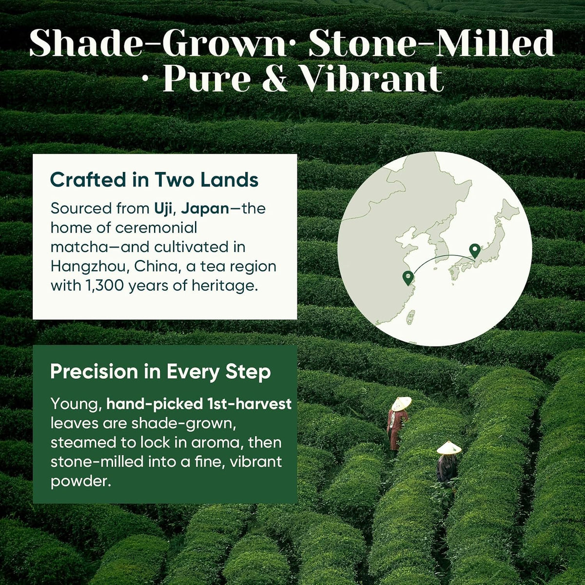 Ceremonial Grade Matcha Green Tea Powder, First Harvest, Shade Grown, 30g - 100% Pure Matcha Powder Ceremonial Grade, w/ No Additives, Unsweetened, Vegan, Gluten-Free, Smooth Flavor for Tea and Lattes
