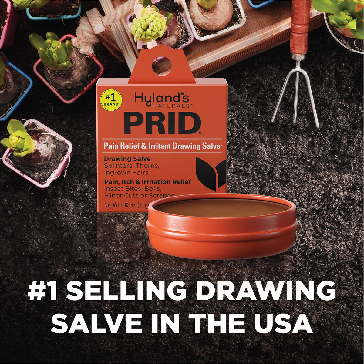 Hyland's PRID Drawing Salve Naturals (2 Pack)