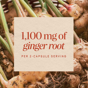 Nature’s Way Ginger Root Capsules, 1100 mg per 2-Capsule Serving Ginger Supplement for Digestive Comfort and Motion-Related Nausea Support