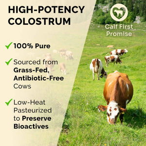 Premium Colostrum Supplement Highest IgG for Gut Health, Immune Support & Recovery Superfood, Anti-Age - Pure Grass-Fed Bovine Colostrum Powder