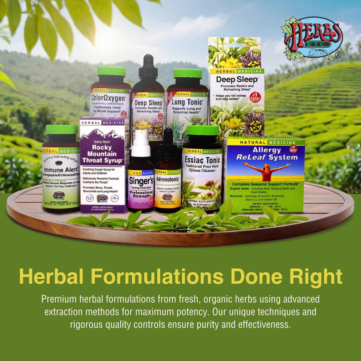 Herbs Etc. Loviral - Lung Health Supplement for Respiratory Defense & Support - Herbal Supplement with Lomatium, Pelargonium & OSHA - Gluten-Free - 60 Softgels (60 Servings)