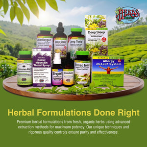 Herbs Etc. Phytocillin - Respiratory & Digestive Health Support Supplement - Herbal Formula to Support Digestion - Support Healthy Breathing - 120 Softgels (120 Servings) Herbs Etc.Buy Supplements Australia