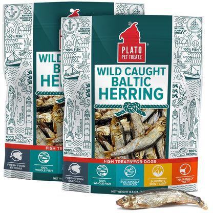 Plato Single Ingredient Wild-Caught Baltic Herring Dog - 8.5 oz