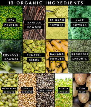 Truvani Protein + Greens Supplement - Spinach, Kale & Broccoli - 10g Organic Plant Based Protein - 20 Servings - USDA Organic - Gluten & Dairy Free